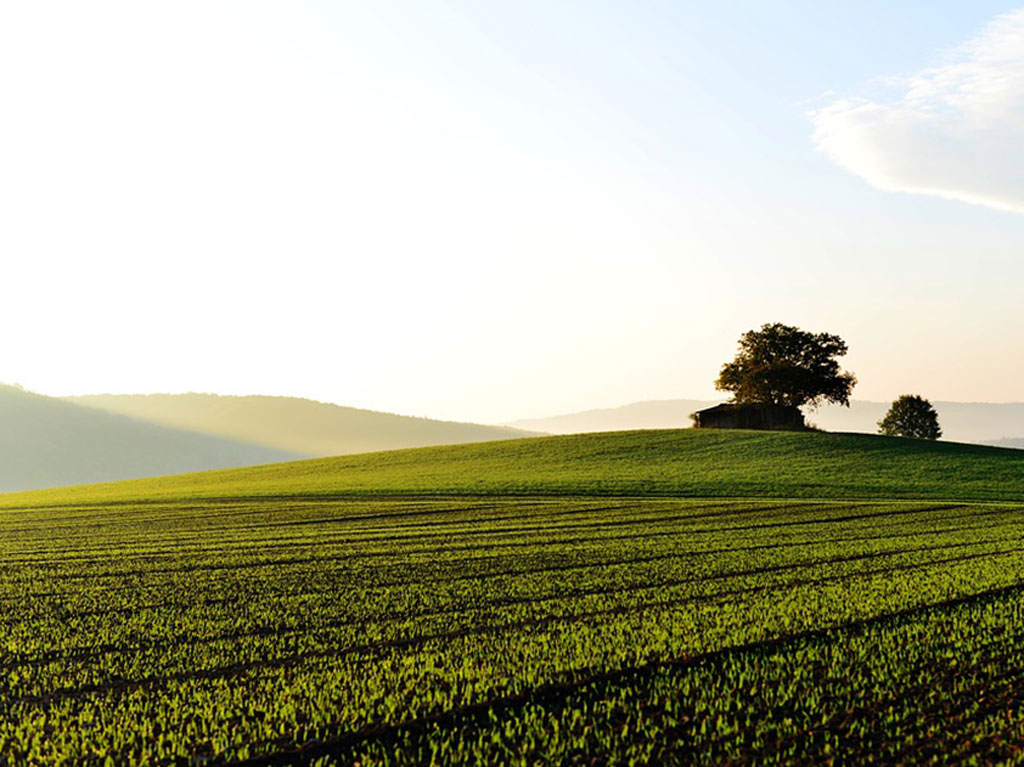 Key To Tomorrow’s Home