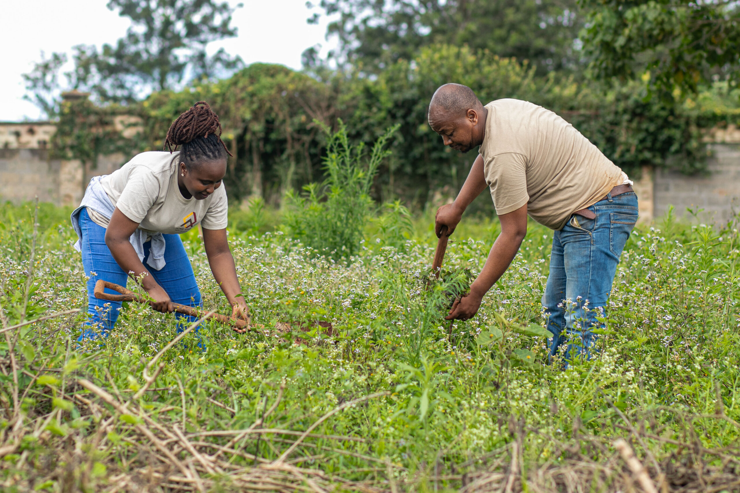 Migaa Tree Planting Initiative- Growing a greener Migaa by planting trees today