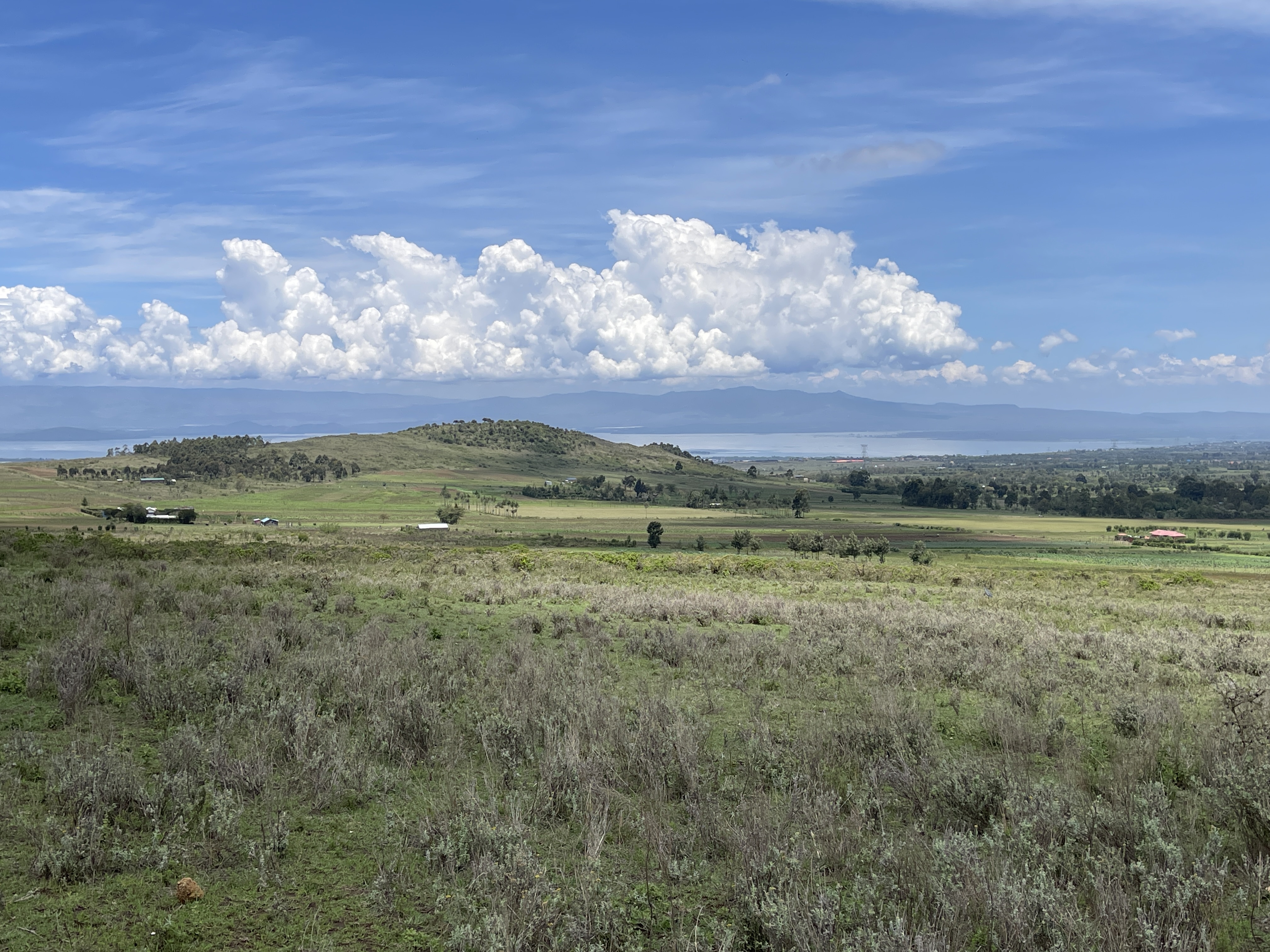 How to Verify Land Ownership in Kenya Before You Buy (Step-by-Step Guide