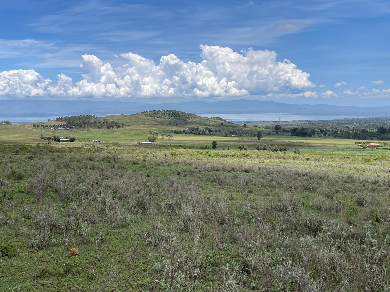 Affordable Plots for Sale in Naivasha for First-Time Buyers